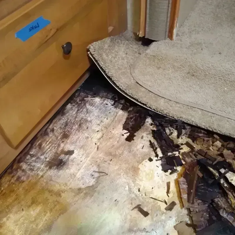 Wood Floor Water Damage in Calvert County, MD